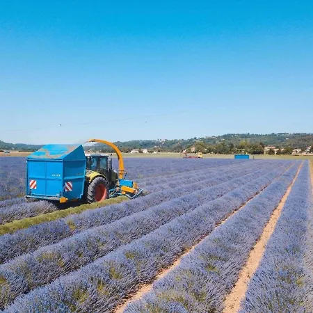 Paradise In Provence - Loft En Pierres - Privatif *