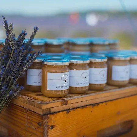 Апартаменты Paradise In Provence - Loft En Pierres - Privatif