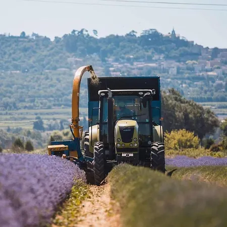 Paradise In Provence - Loft En Pierres - Privatif Apartment Reillanne